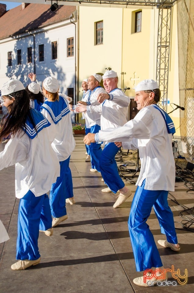 Festival International de Folclor, Cetatea Oradea