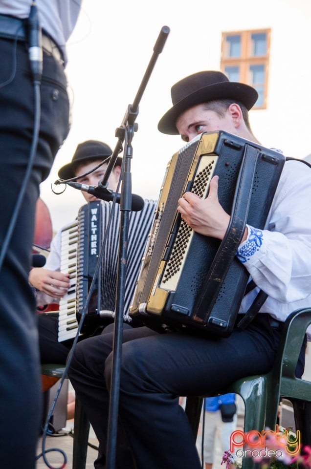 Festival International de Folclor, Cetatea Oradea