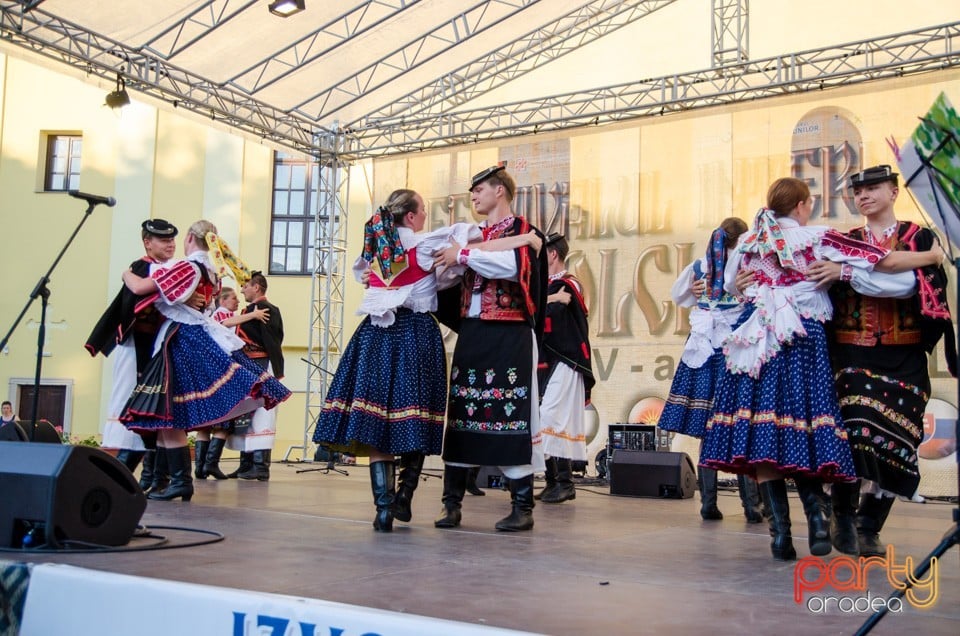 Festival International de Folclor, Cetatea Oradea