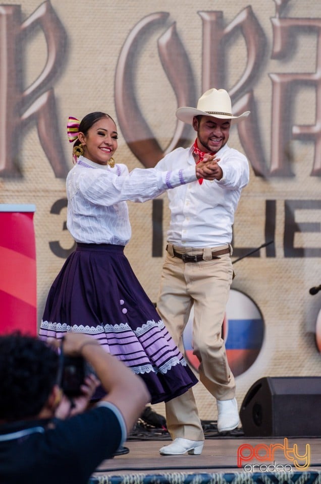 Festival International de Folclor, Cetatea Oradea