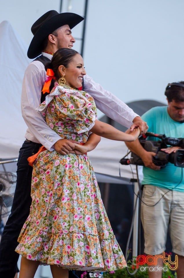 Festival International de Folclor, Cetatea Oradea