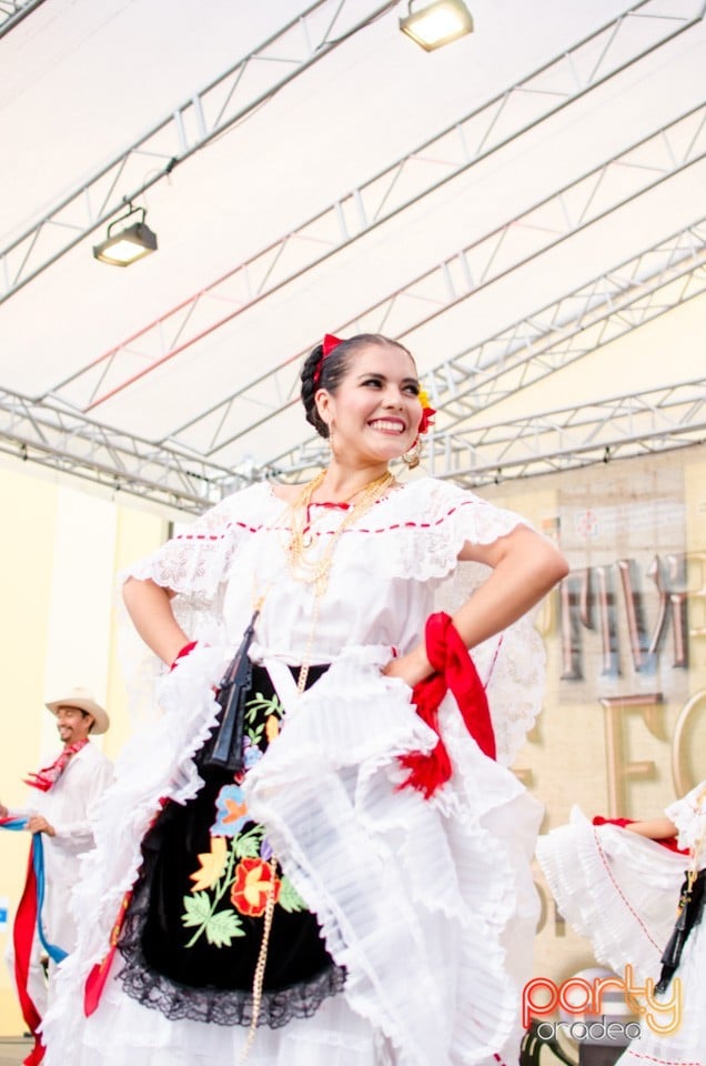 Festival International de Folclor, Cetatea Oradea