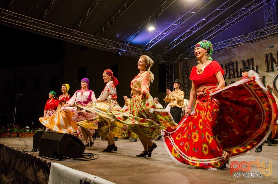 Festival International de Folclor, Cetatea Oradea