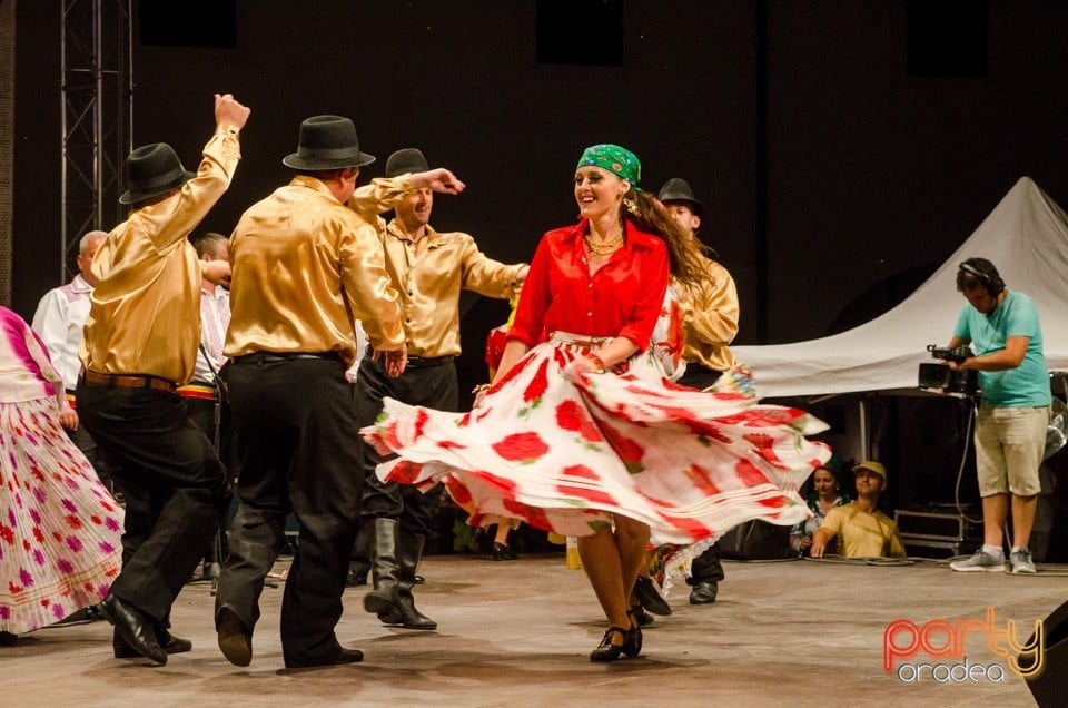 Festival International de Folclor, Cetatea Oradea