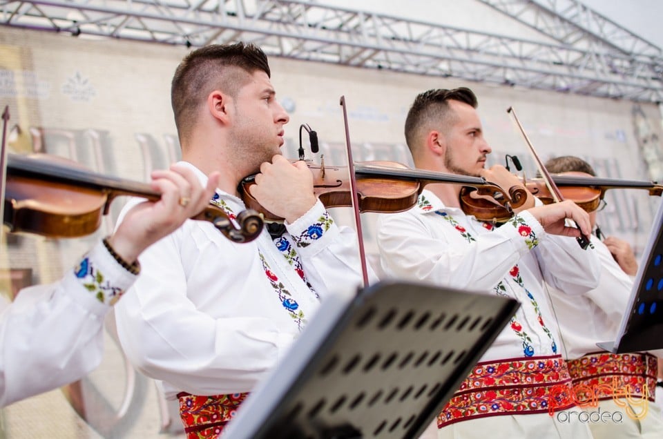 Festival International de Folclor, Cetatea Oradea