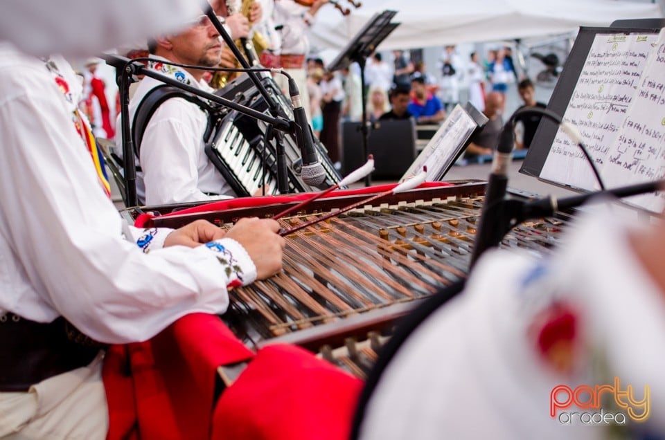 Festival International de Folclor, Cetatea Oradea