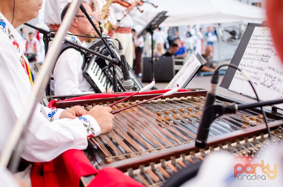 Festival International de Folclor, Cetatea Oradea