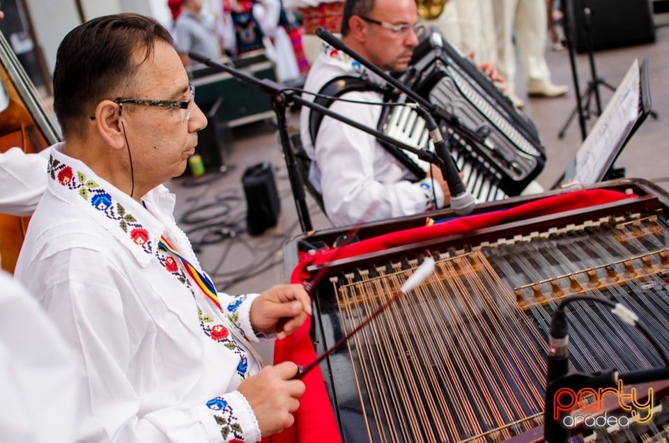 Festival International de Folclor, Cetatea Oradea