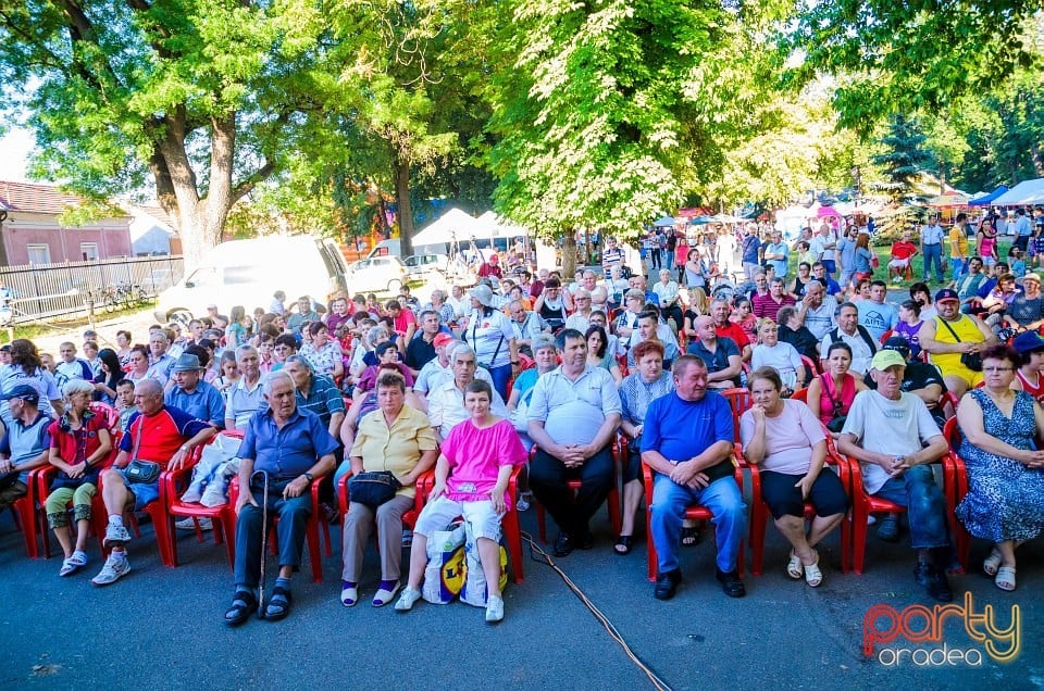 Festival internaţional de folclor, Oradea