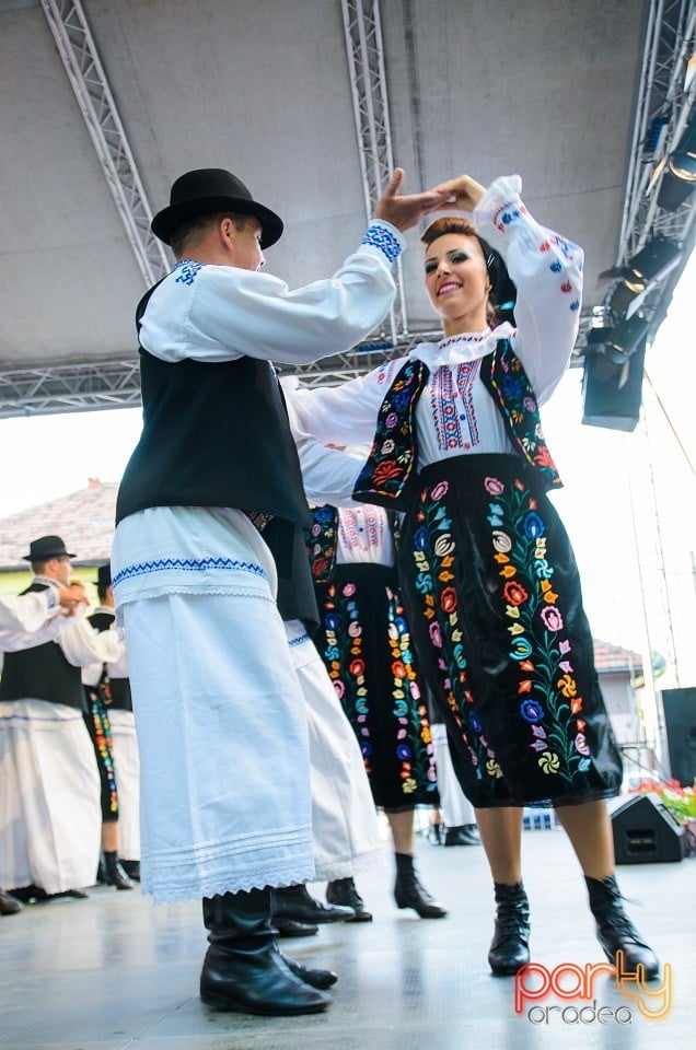 Festival internaţional de folclor, Oradea