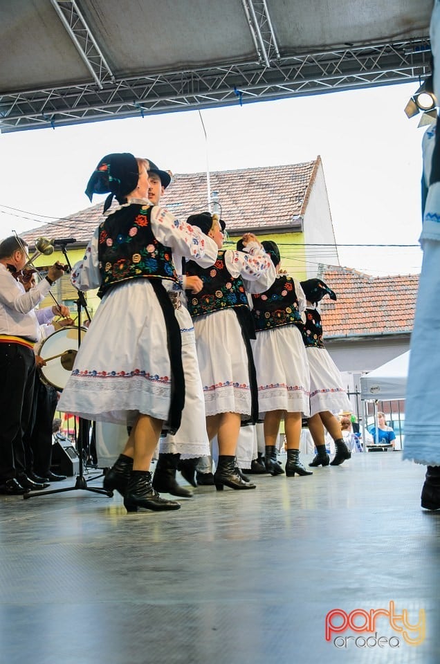 Festival internaţional de folclor, Oradea