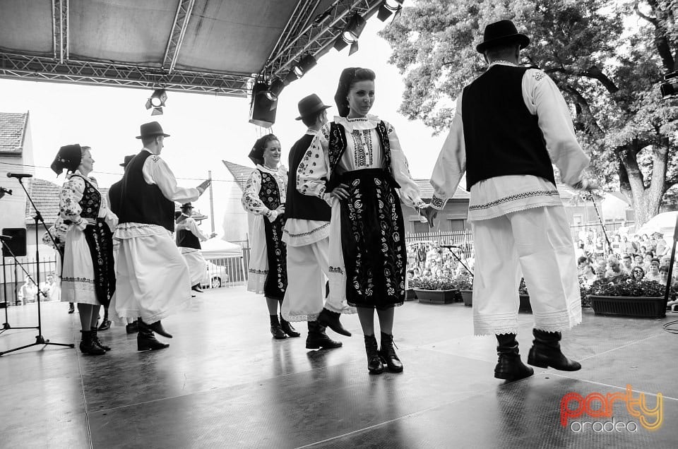 Festival internaţional de folclor, Oradea