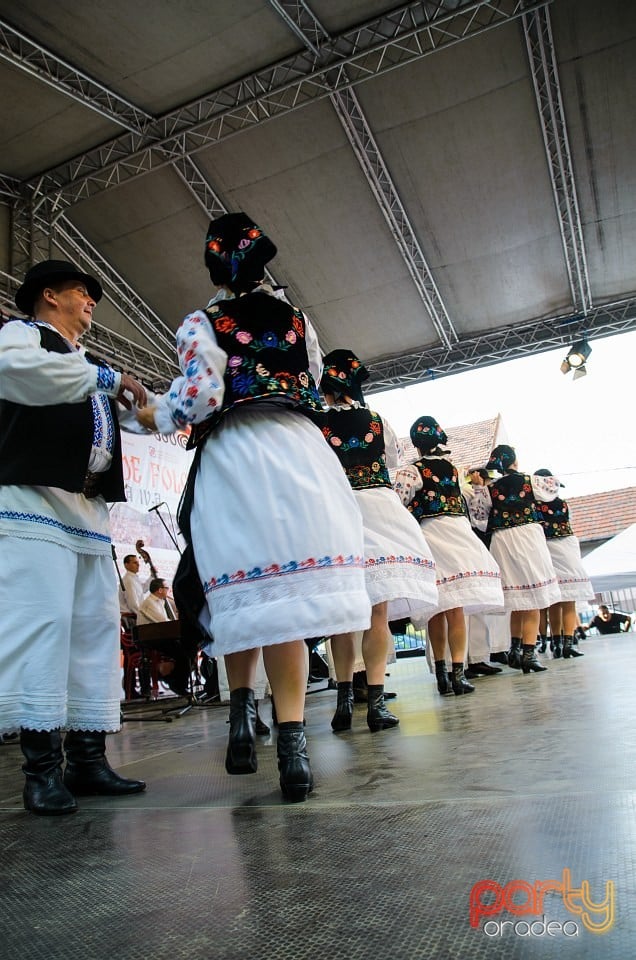 Festival internaţional de folclor, Oradea