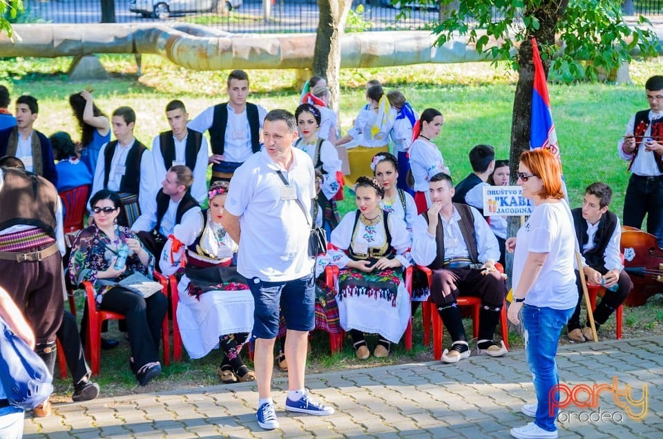 Festival internaţional de folclor, Oradea