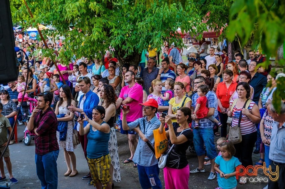 Festival internaţional de folclor, Oradea