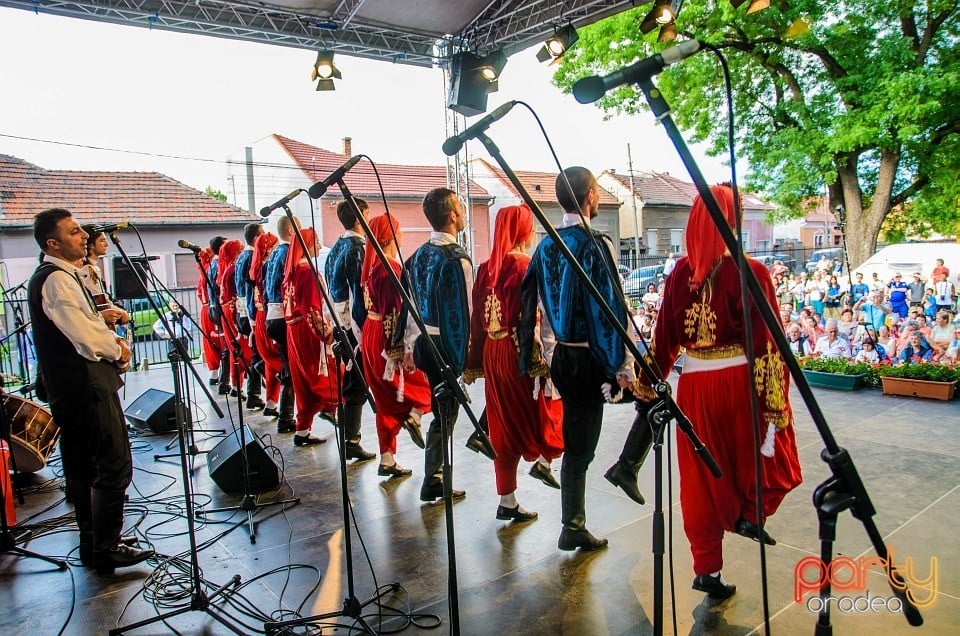 Festival internaţional de folclor, Oradea