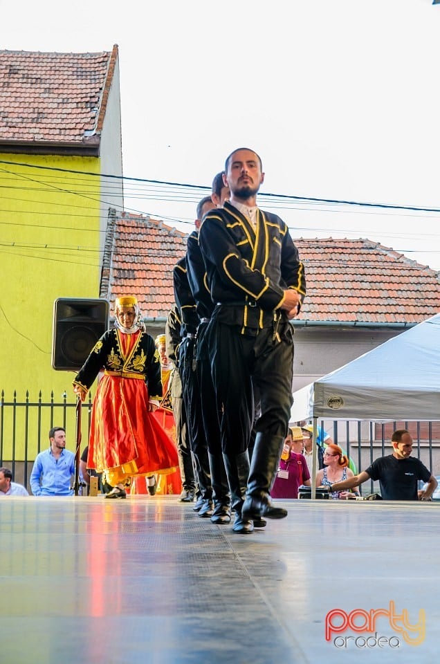 Festival internaţional de folclor, Oradea