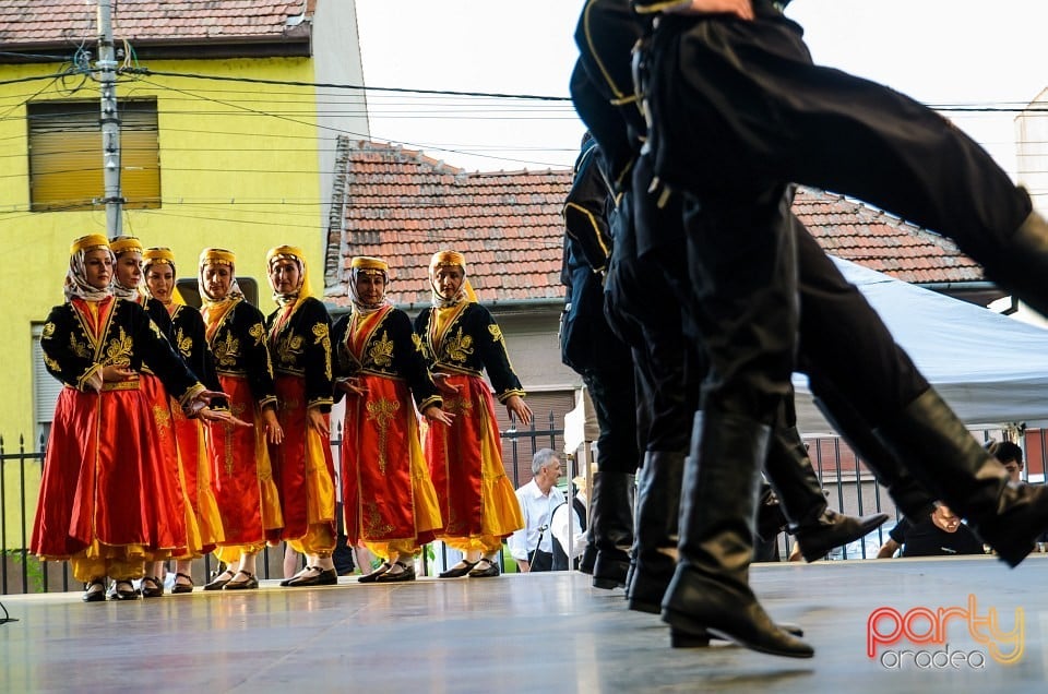 Festival internaţional de folclor, Oradea