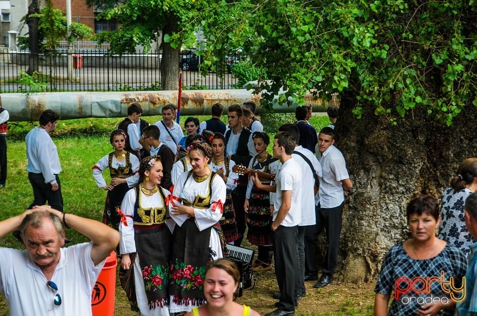 Festival internaţional de folclor, Oradea