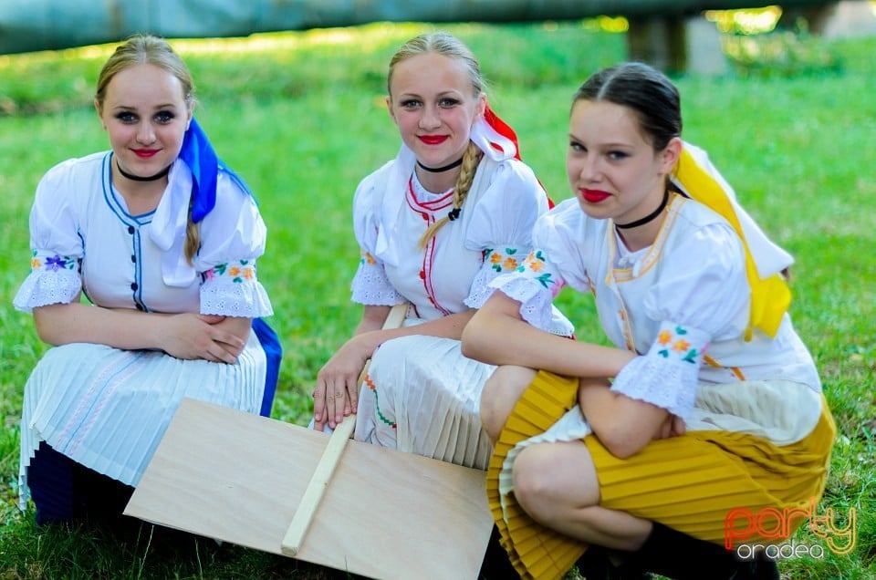 Festival internaţional de folclor, Oradea