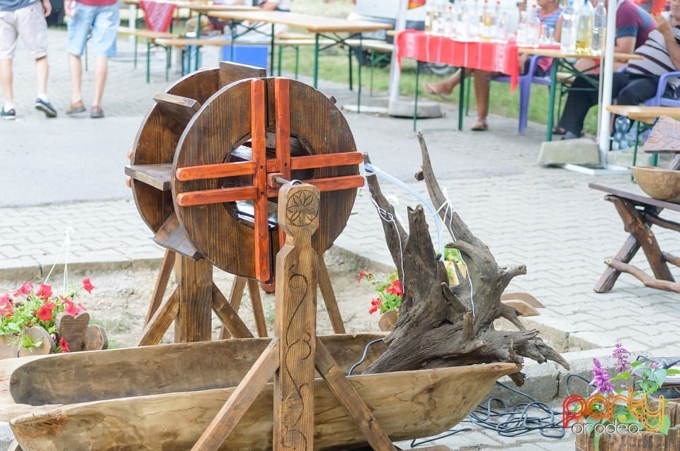 Festival internaţional de folclor, Oradea