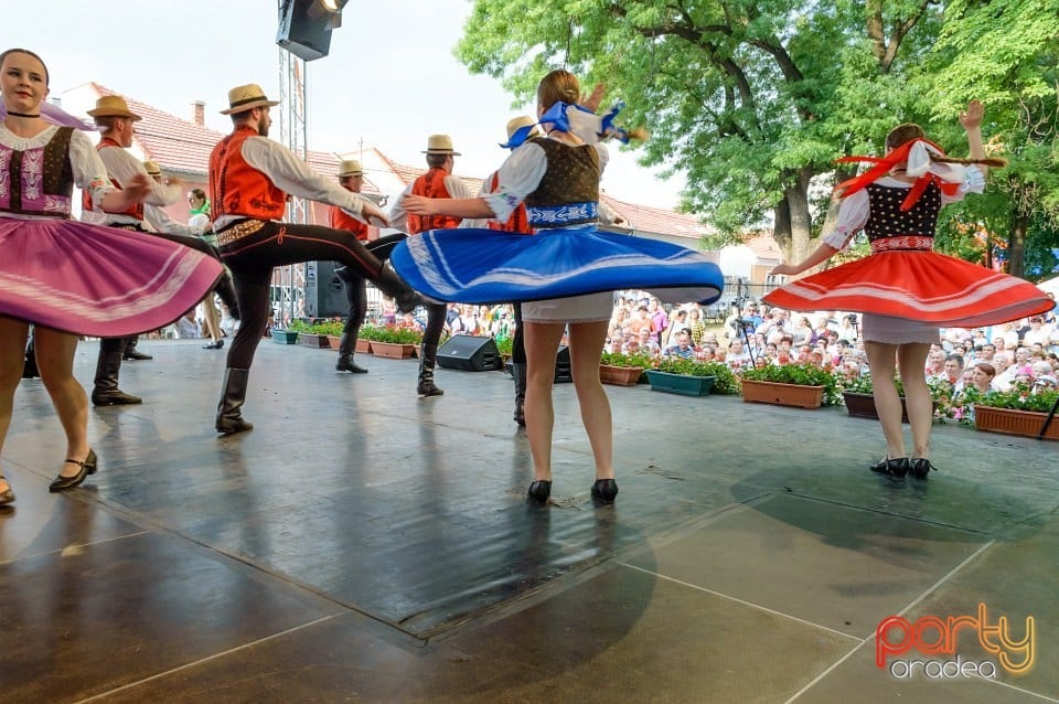 Festival internaţional de folclor, Oradea