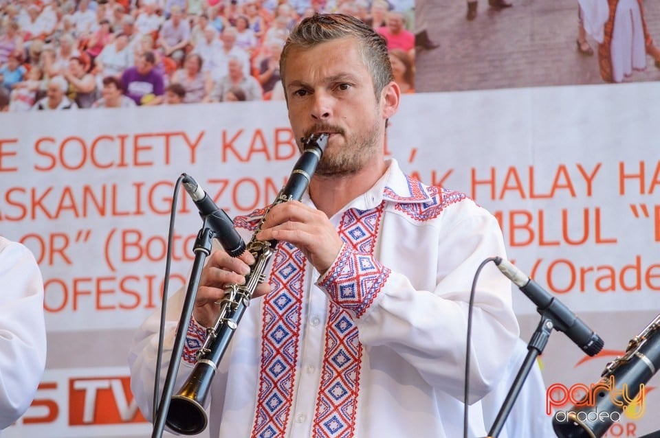 Festival internaţional de folclor, Oradea