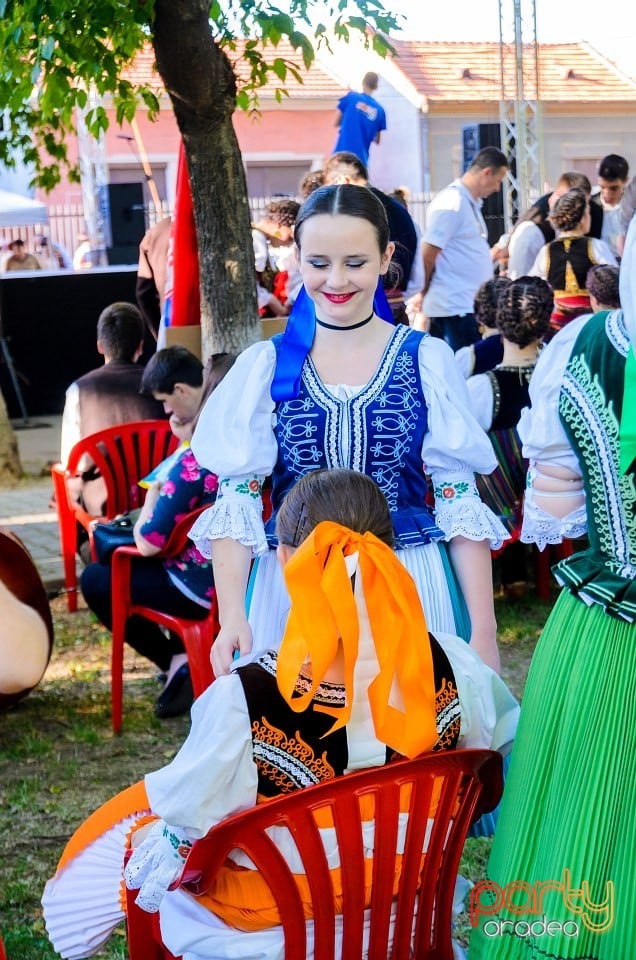 Festival internaţional de folclor, Oradea