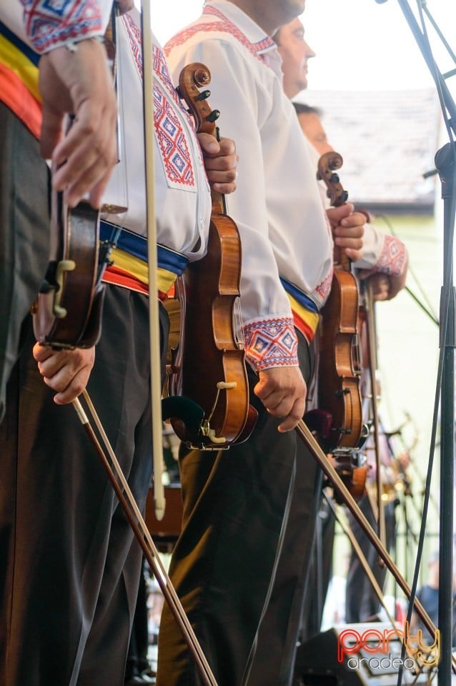 Festival internaţional de folclor, Oradea