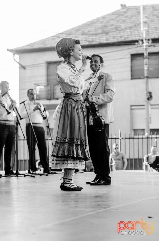 Festival internaţional de folclor, Oradea