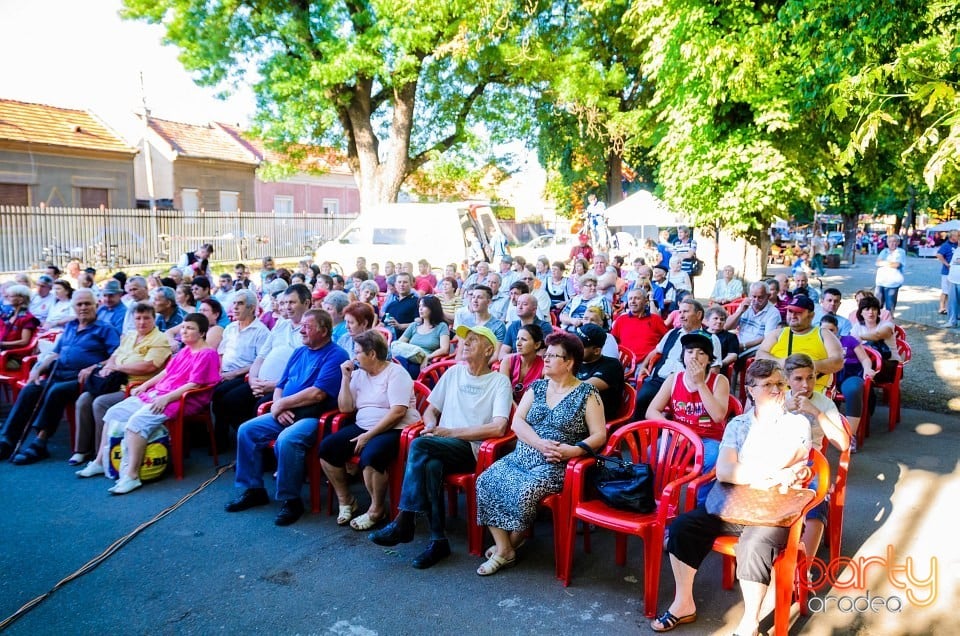 Festival internaţional de folclor, Oradea