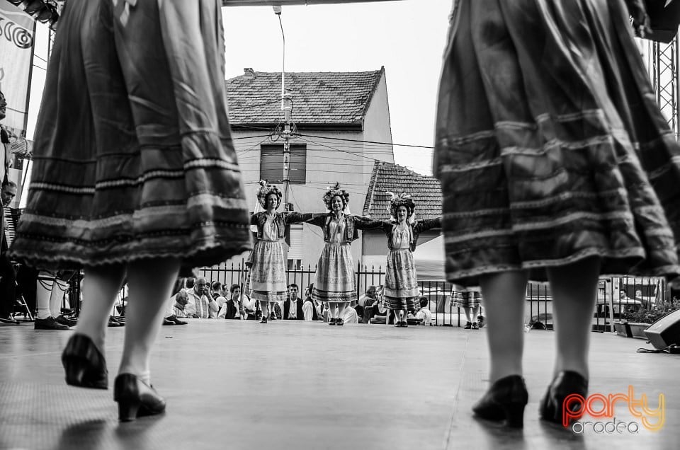 Festival internaţional de folclor, Oradea