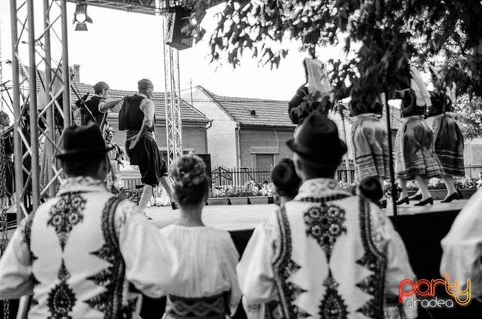 Festival internaţional de folclor, Oradea