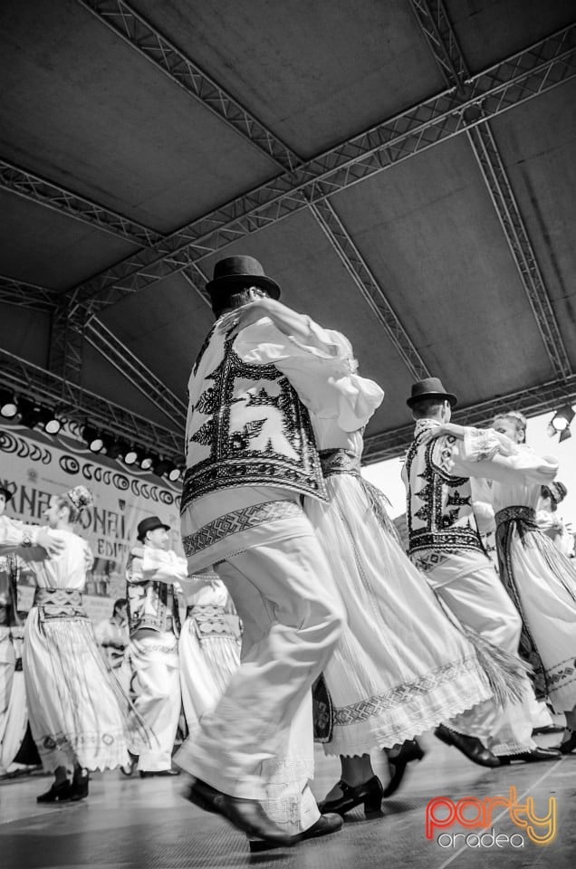Festival internaţional de folclor, Oradea