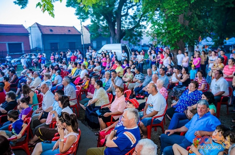 Festival internaţional de folclor, Oradea