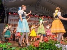 Festival internaţional de folclor