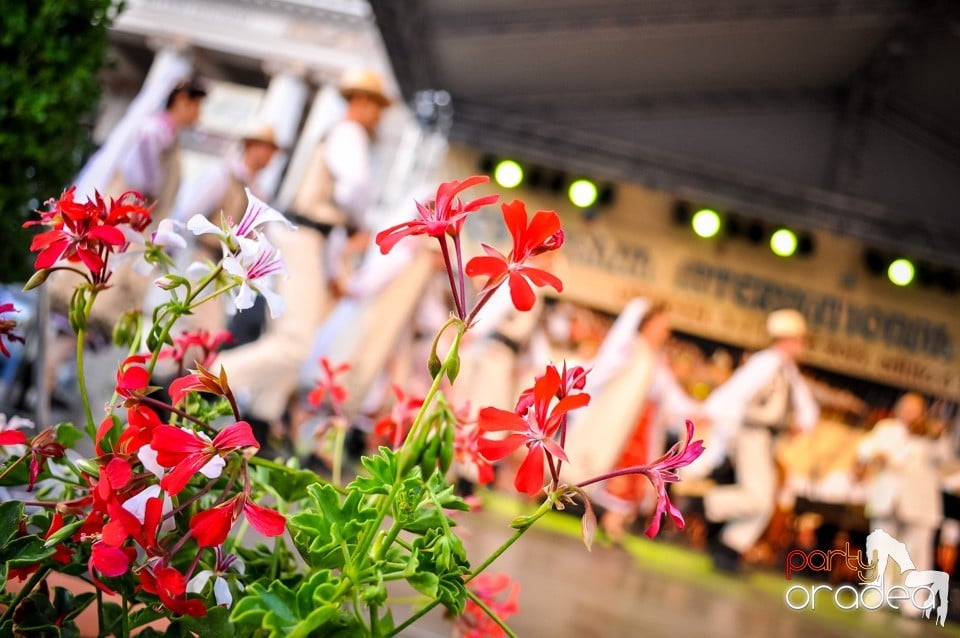 Festival International de Folclor, Oradea