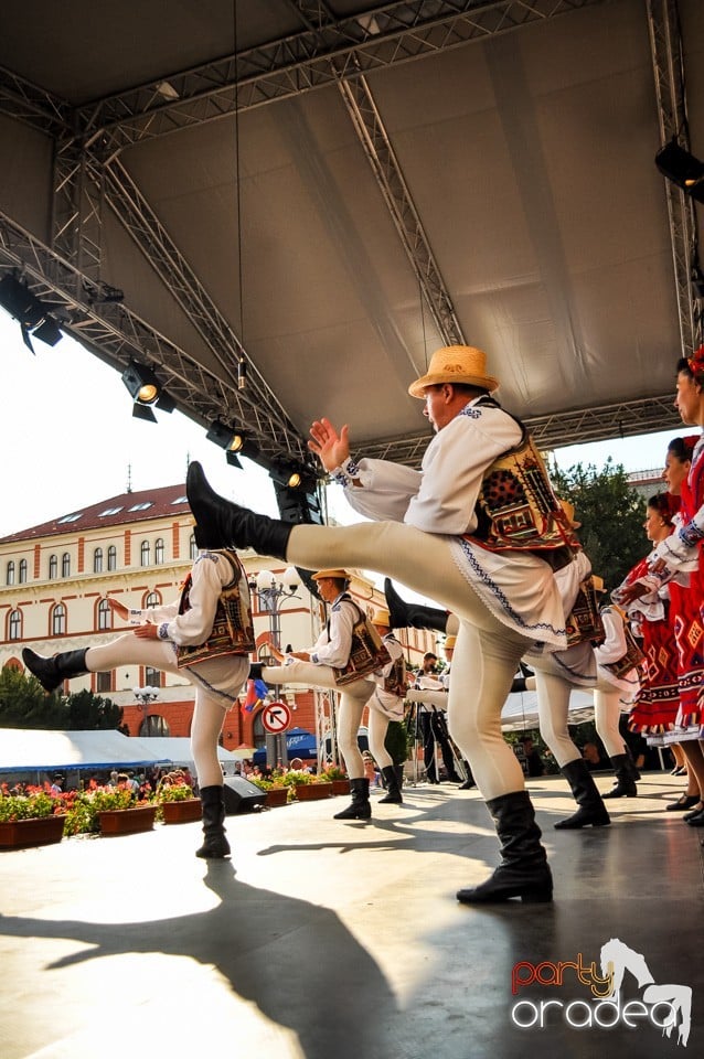 Festival International de Folclor, Oradea