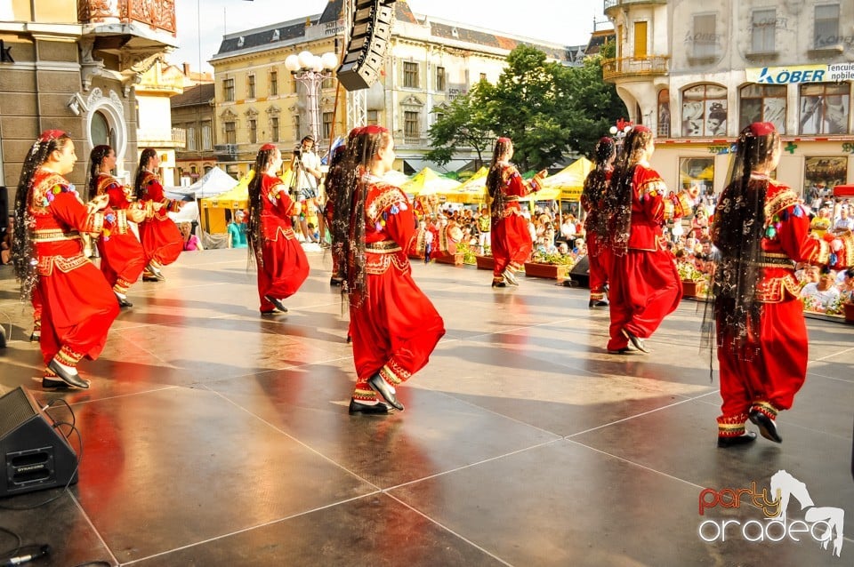 Festival International de Folclor, Oradea