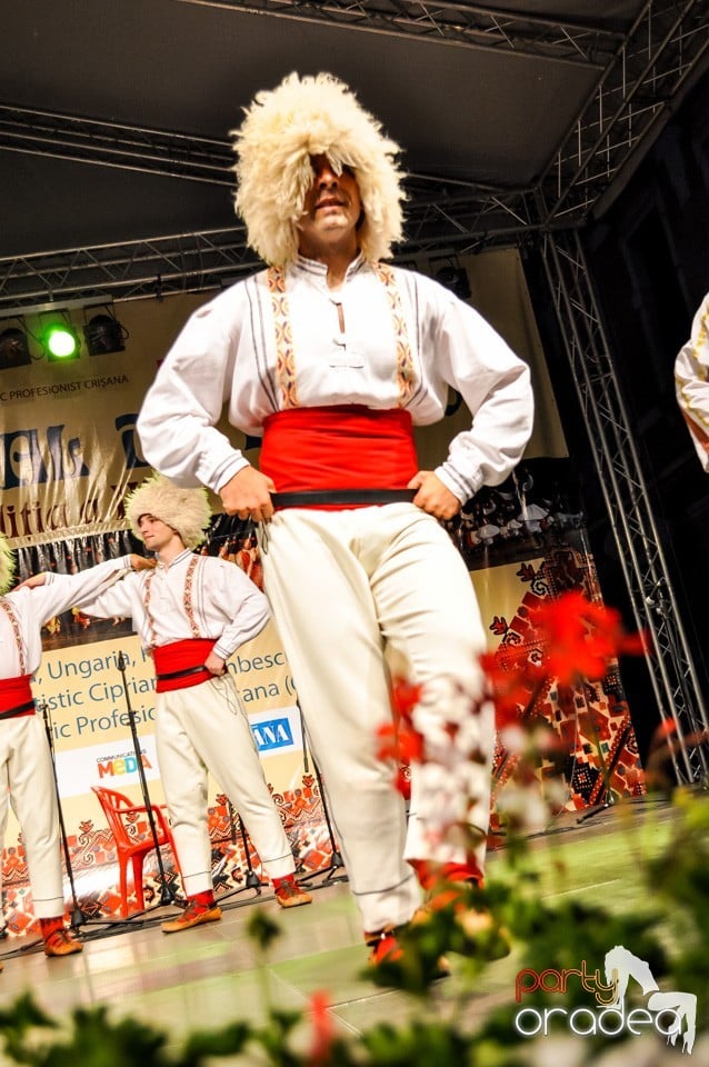 Festival International de Folclor, Oradea