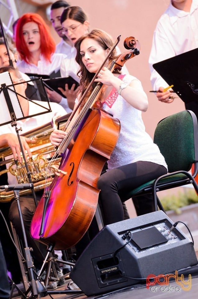 Festival