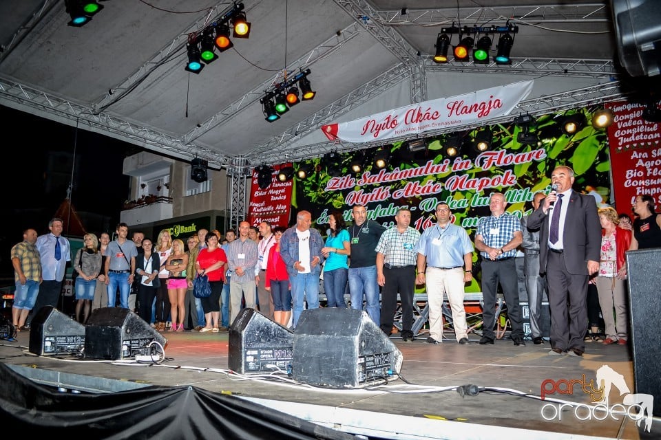 Festivalul