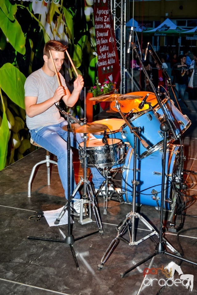 Festivalul