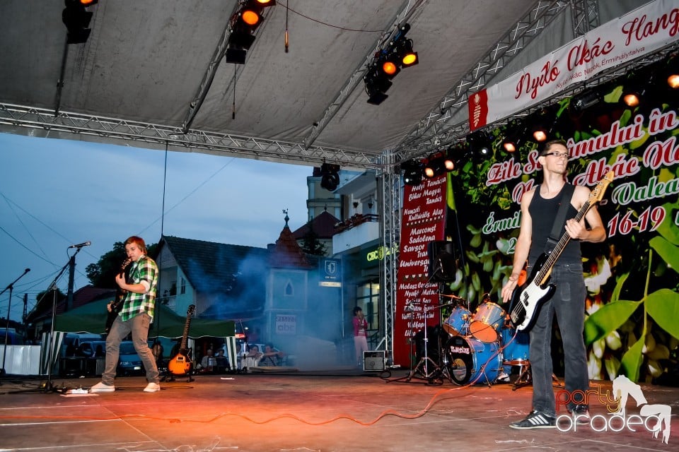 Festivalul