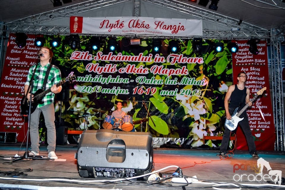 Festivalul