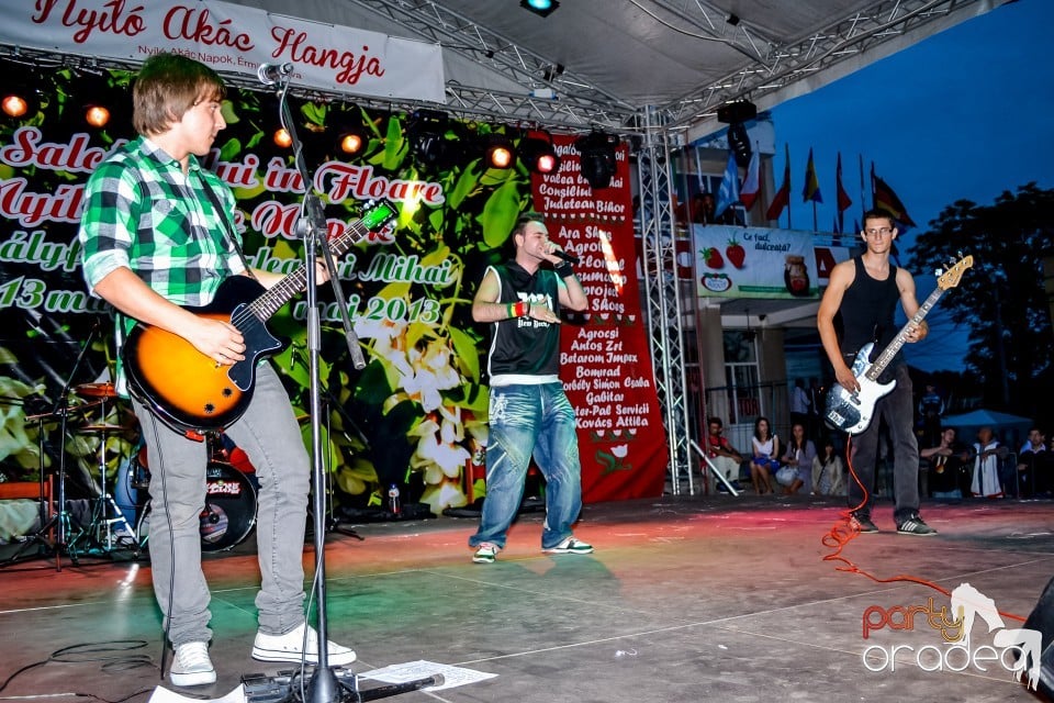 Festivalul