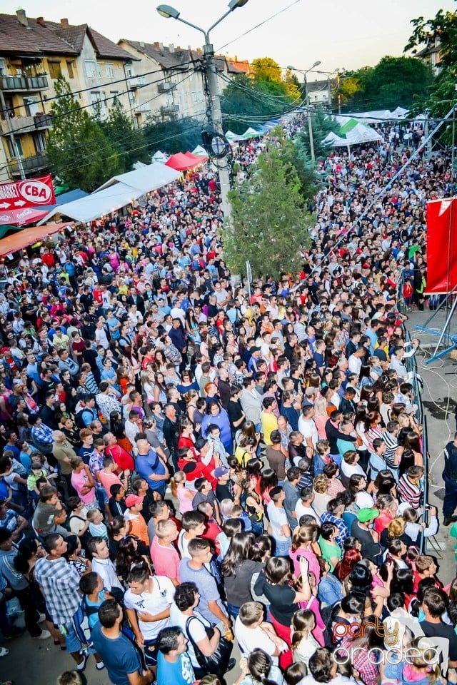 Festivalul
