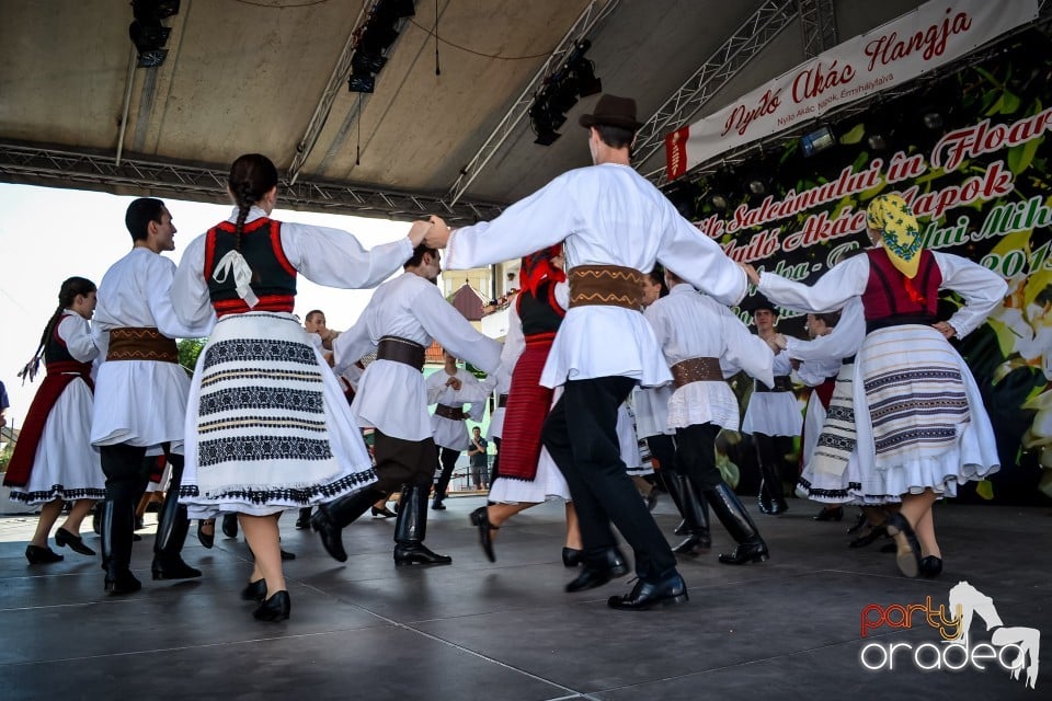 Festivalul