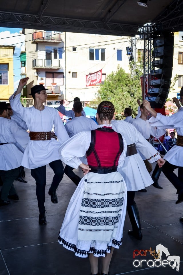 Festivalul