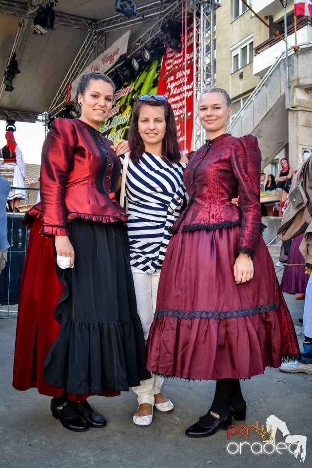 Festivalul
